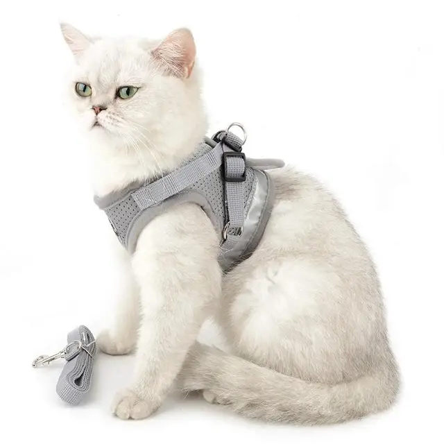 Reflective Dog Cat Harness Pet Adjustable Vest Walking 3