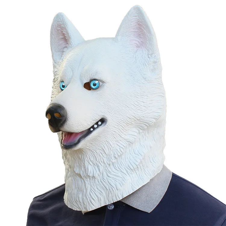 9023508765_1132094720