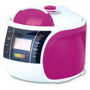 

Electric Pressure Cookers pressure cooker 5L double gallbladder intelligent electric cooker.