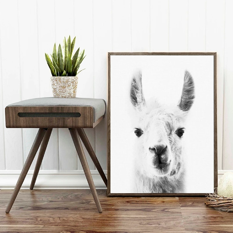 Llama Canvas Art Poster Home Decor