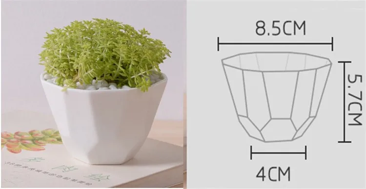 Gemetric shape Flower Pot2
