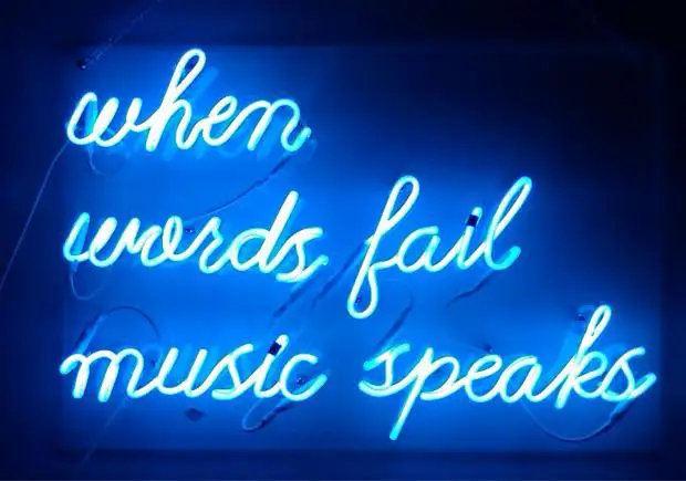 when words fail music speaks display real glass neon light sign