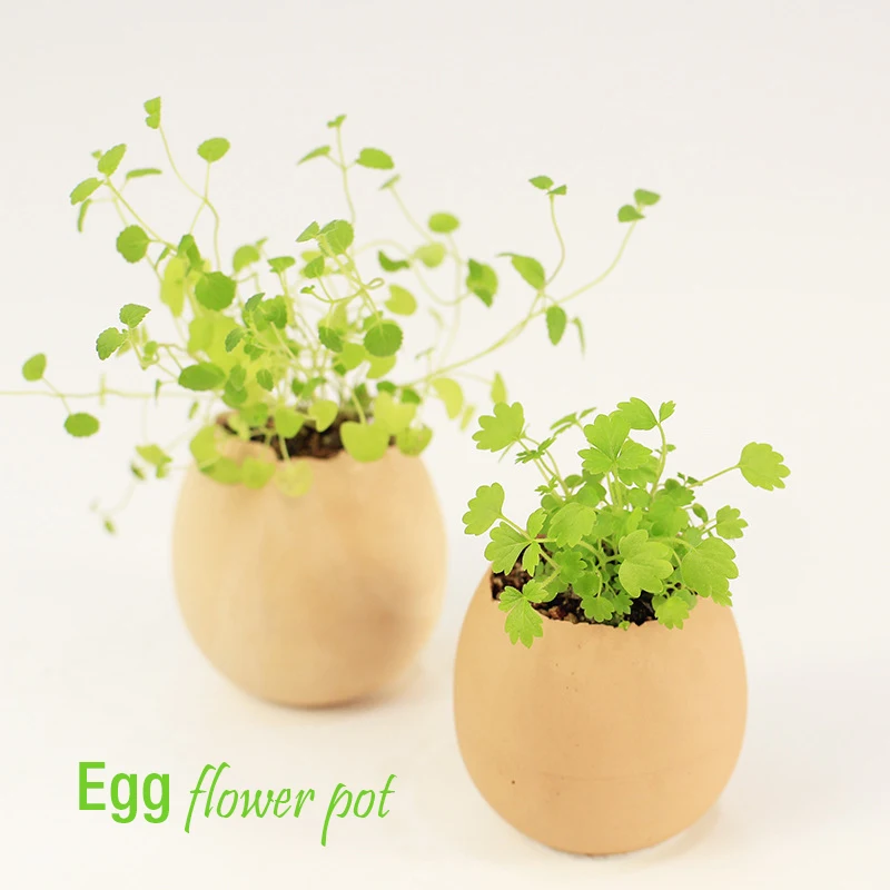 

Egg flower pot vase creative ceramic toy dinosaur egg egg toy potted gift Christmas birthday gift turkey sticker cock statue NEW