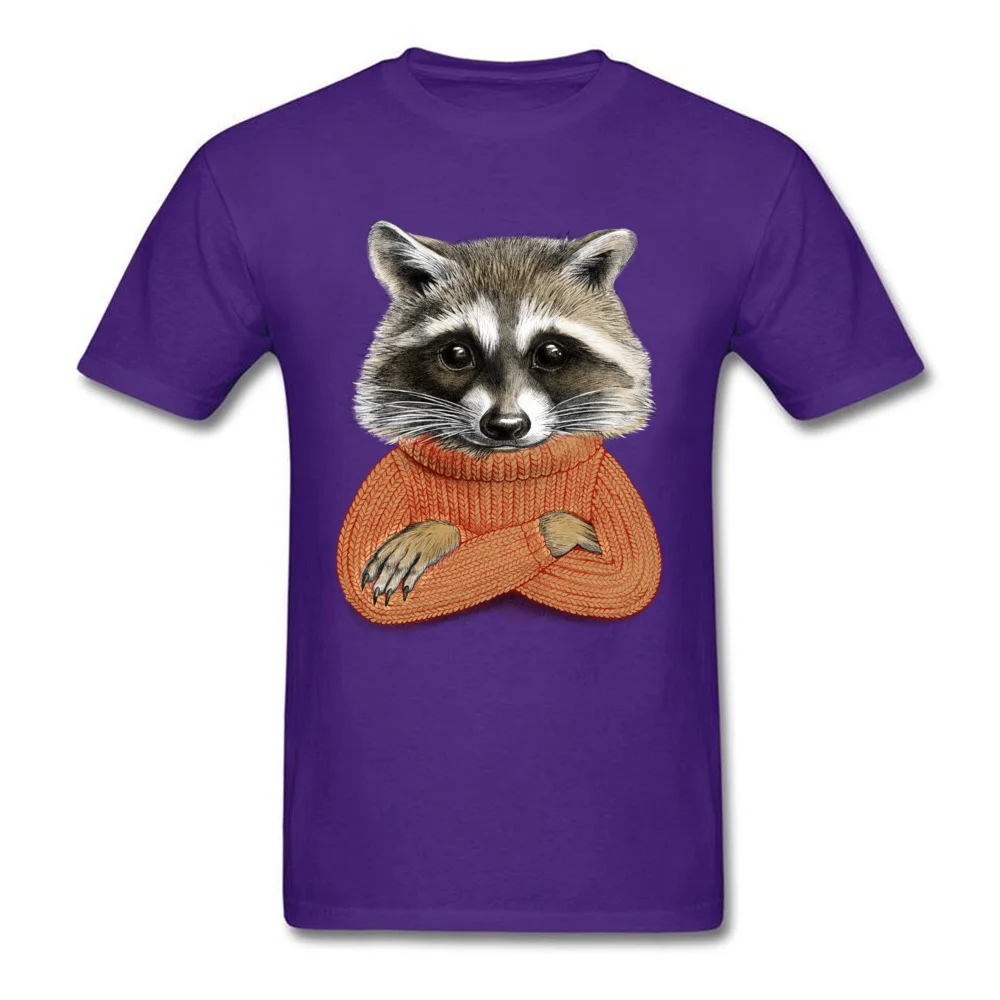 Normal Short Sleeve Tops Shirt Summer/Fall O-Neck 100% Cotton Men Tshirts Raccoon in winter sweater Normal Tee Shirts Fashion Raccoon in winter sweater purple
