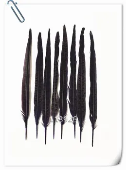 

New 30-35cmnatural pheasant feathers dyed purple ringneck pheasant tail feather plumes for wedding Decor DIY crafts 100pcs