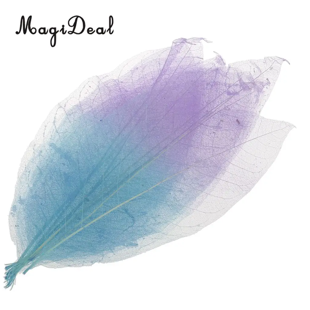 MagiDeal Beautiful 50Pcs Natural Magnolia Skeleton Leaf Leaves DIY Crafts for Scrapbooking Flower Making Lampshades Wall Decor