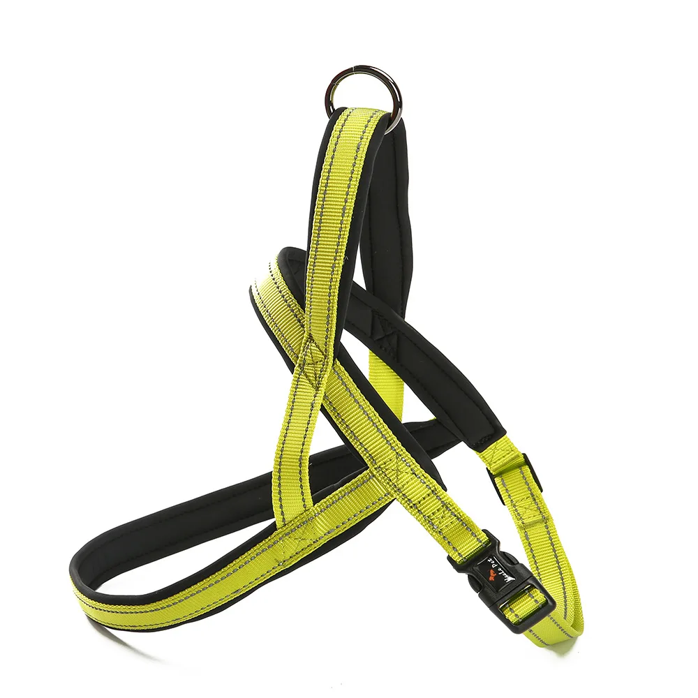 dog harness green