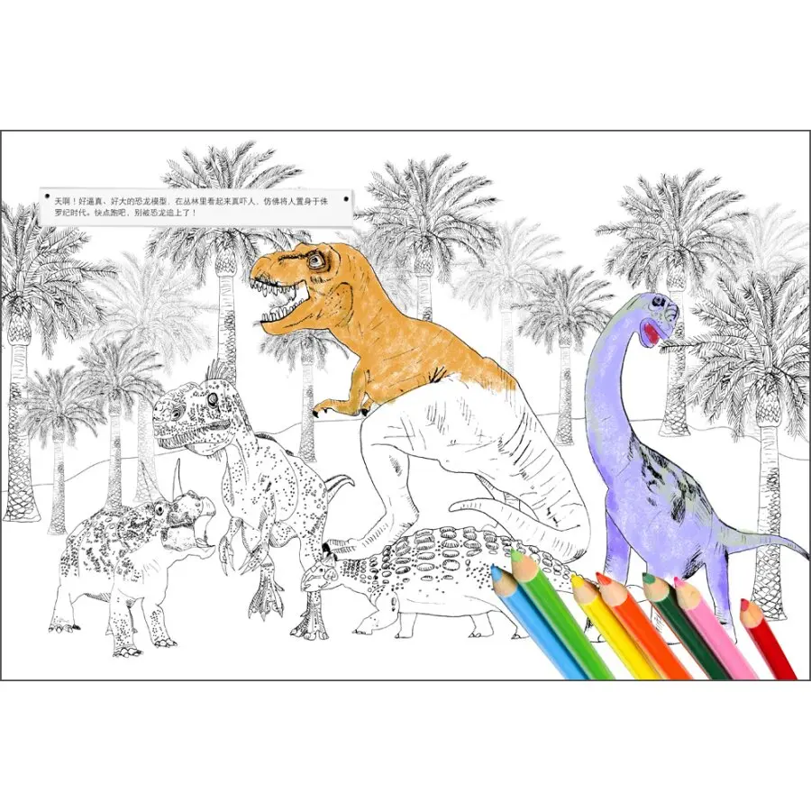 Segreto Parco di Divertimenti Libro Da Colorare Per Bambini Adulti Graffiti Pittura Disegno Antistress Kill Time Colouring Libri Regali libros in Segreto