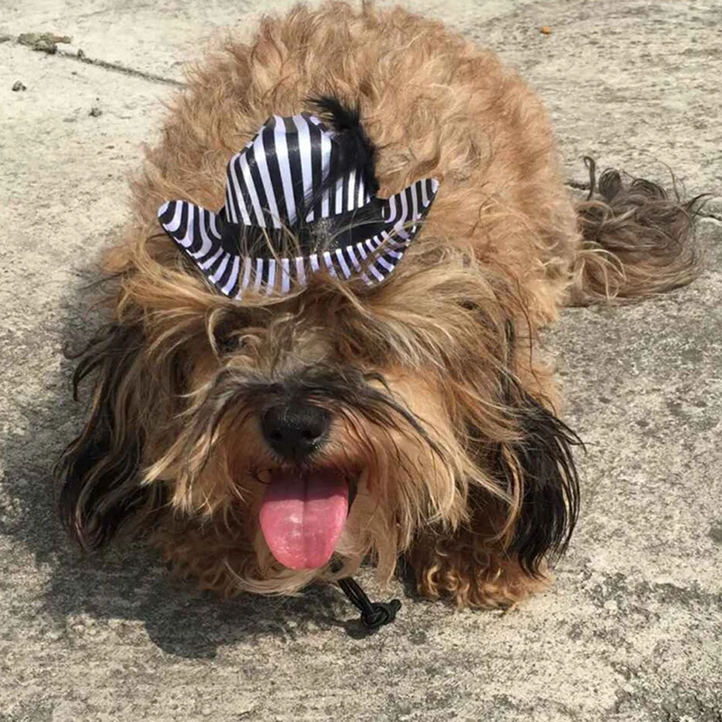 Прохладный черный полосатый Pet Hat ковбой перо собака кошка Кепка с емблемой щенка