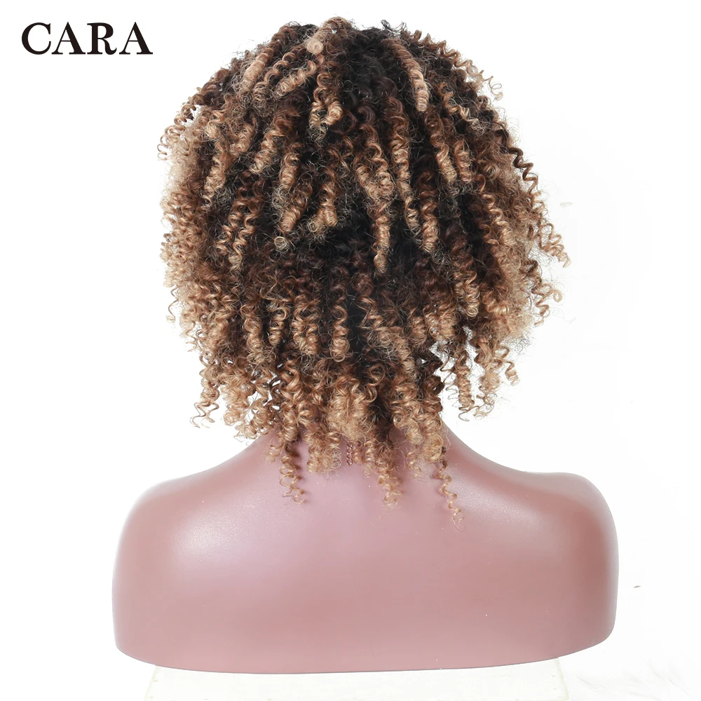 CARA-6