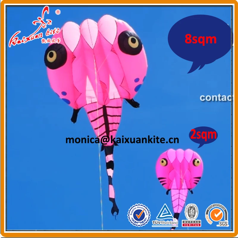 pink tadpole