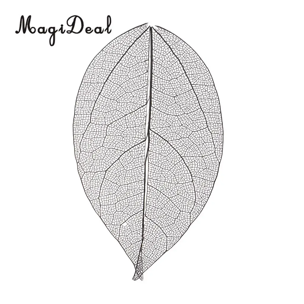 20 Pieces Pressed Dried Linden Leaves Bodhi Leaf Skeleton Leaves for Art Craft Scrapbooking Home Decoration