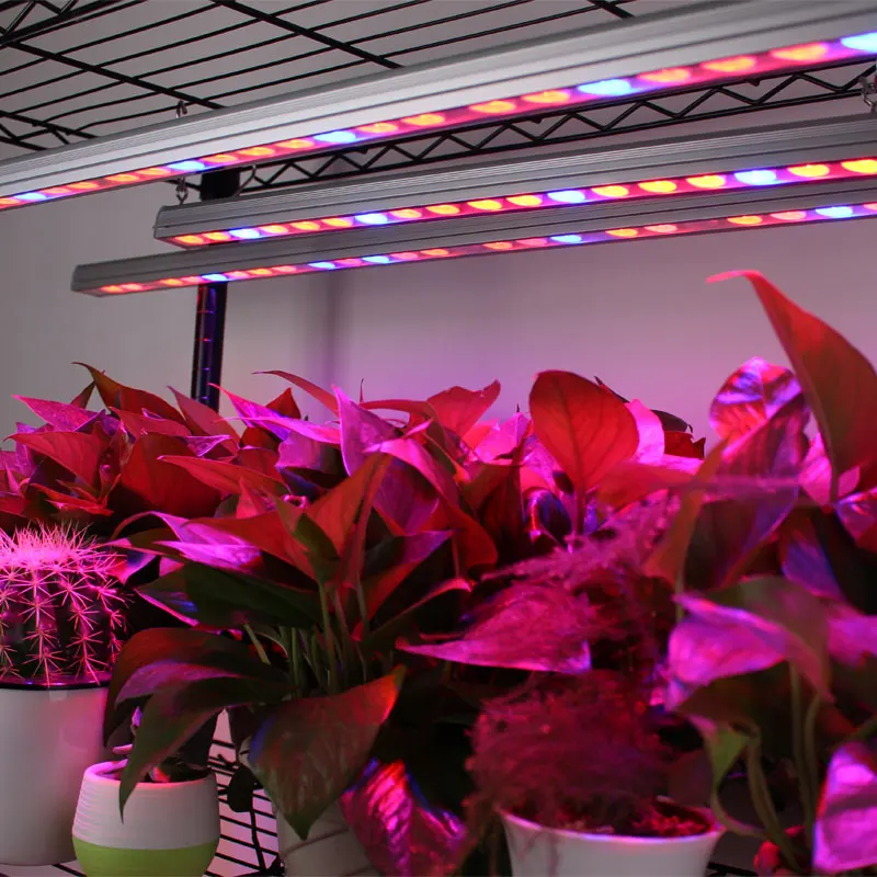 Barra de Luz para Estufa Planta de Crescimento da Flor w à Prova Dwaterproof Água Led Crescer Jardim Interior Comercial Vegetal Luzes 108 uv ir 18 Cheap led grow light bar