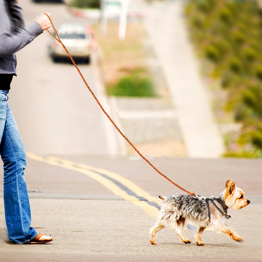 Dog Leash Rope Leather For Small Dogs Braided Pet Running Tracking Leash Puppy Pet Walking Leash Brown 4ft for Small Medium Dog