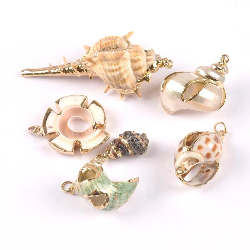 

mix Natural Shell Gold Plated for DIY handmade pendant SeaShells Home decoration 5pcs TRS0217