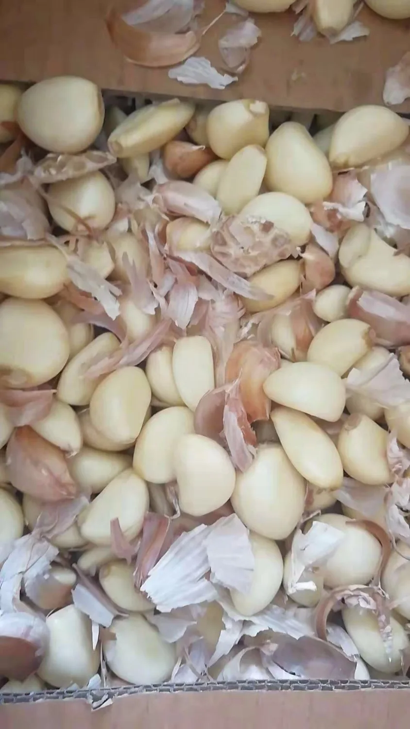 BEIJAMEI New Arrival 24kg/h Stainless Steel 180w Commercial Garlic Peeling Machine Electric Garlic Peeler Price 5