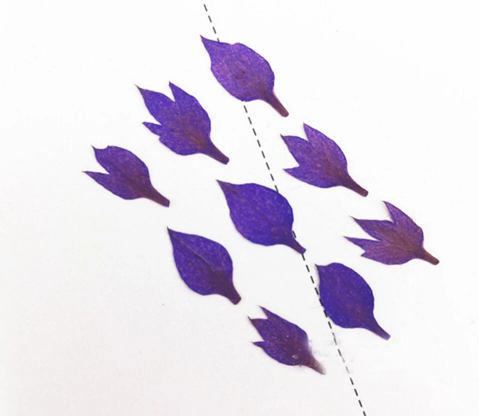 -purple
