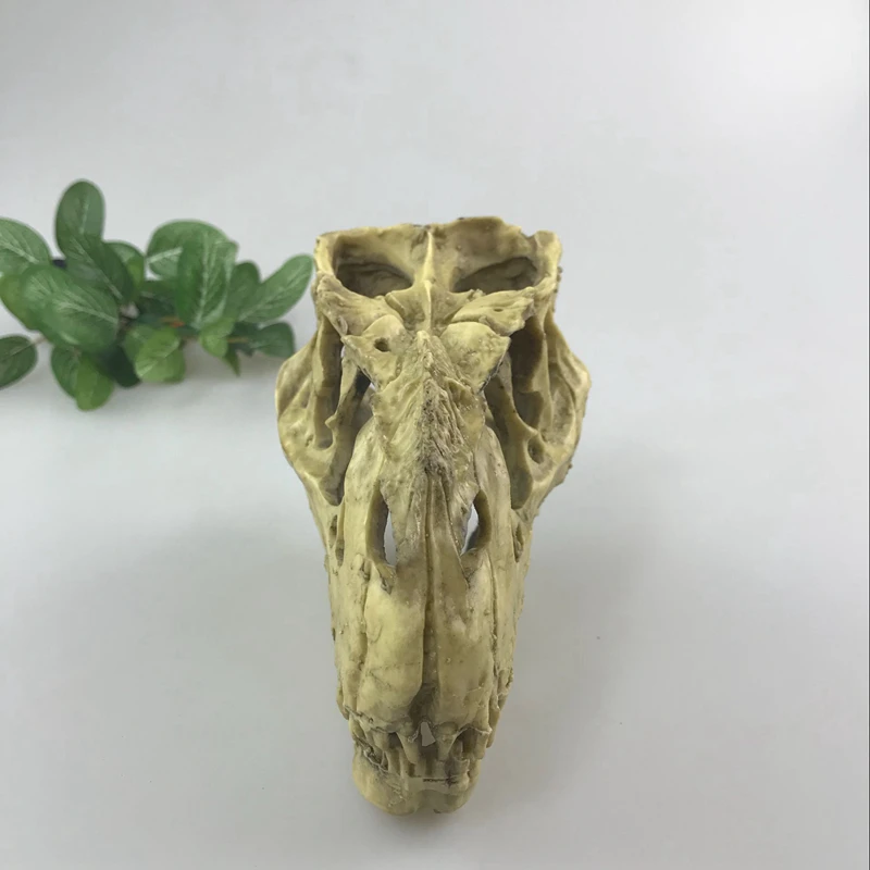 Аквариум смола орнамент Искусственный рапторы череп из окаменелости для аквариума украшения гусеничный ящик Ландшафтный