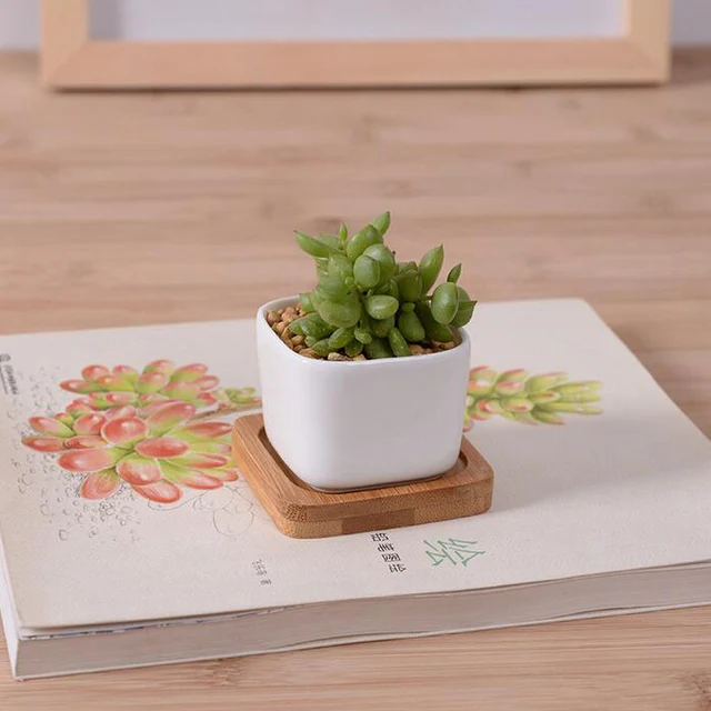 Free Shipping White Creamic Flower Pot With Bamboo Tray Indoor Mini ... Free Shipping White Creamic Flower Pot With Bamboo Tray Indoor Mini ...
