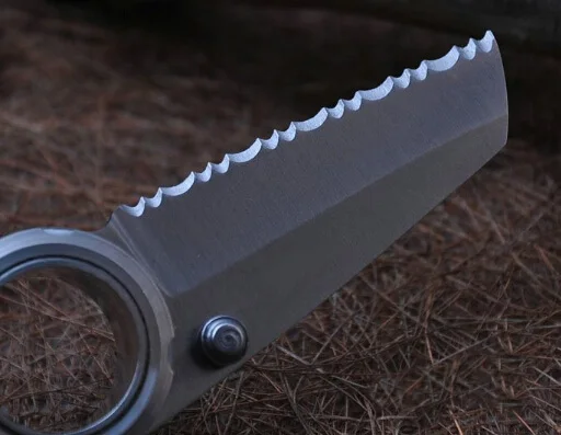 HTB1oRzeIFXXXXa1XVXXq6xXFXXX8