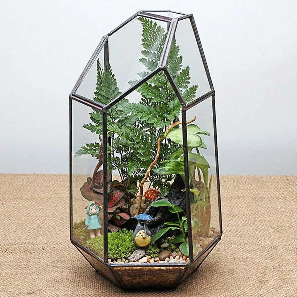 Для дома, теплицы, шестиугольная стеклянная ваза для платного сада Миниатюрный Мини Пейзаж