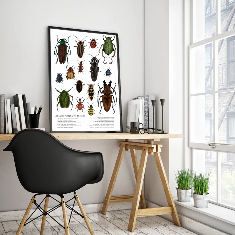 Assortment Of Beetles Wall Art Print