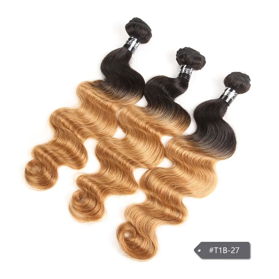 R5-OMBRE-BODY-WAVE-T1B-27-3