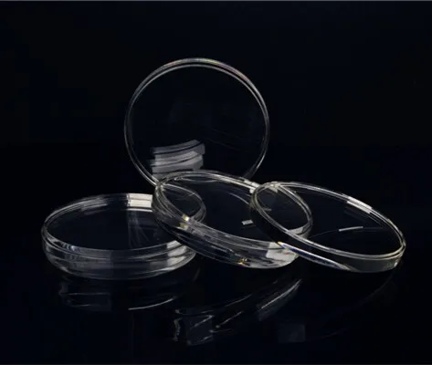

Clear Translucent Dental Dentmill CAD CAM PMMA