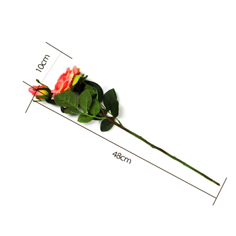 IF1521528882_1