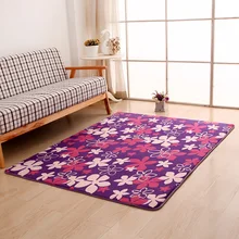 Coral velvet Soft Carpet Area Rug Slip Resistant Door Floor Mat For Bedroom Livingroom not fade not drop hair Coral velvet Soft Carpet Area Rug Slip Resistant Door Floor Mat For Bedroom Livingroom not fade not drop hair