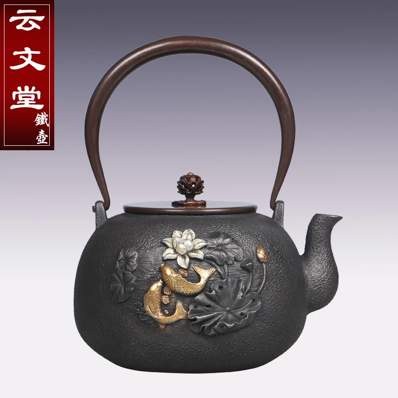 

1.6L Exquisite Embossed Pattern Handmade Oxidized Uncoated Cast Iron Teapot Kung Fu Tea Set Boil Kettle