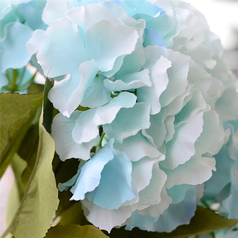 ZS461Lightblue (7)
