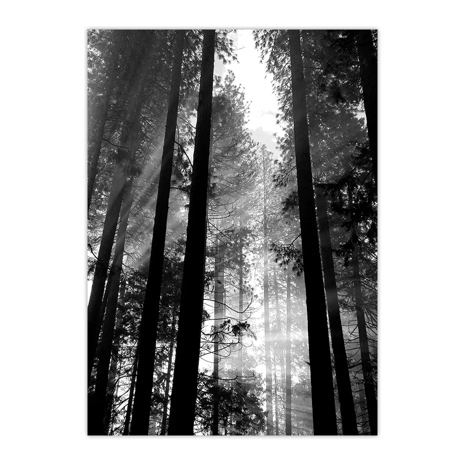 color_opt_3