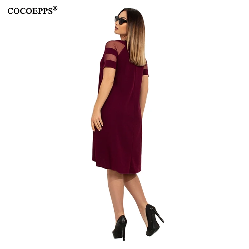 COCOEPPS  20