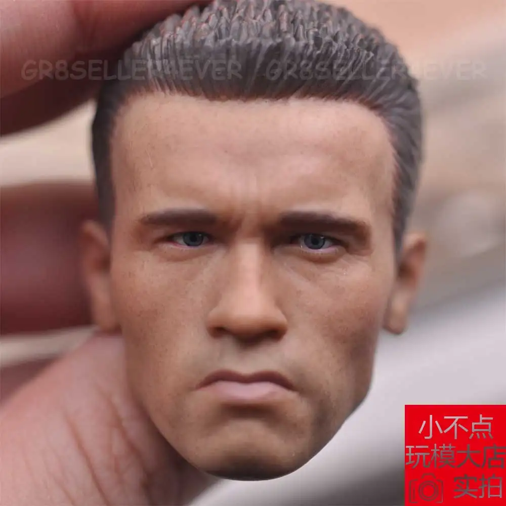 1//6 scale The Terminator Arnold Schwarzenegger T-800 Head Sculpt