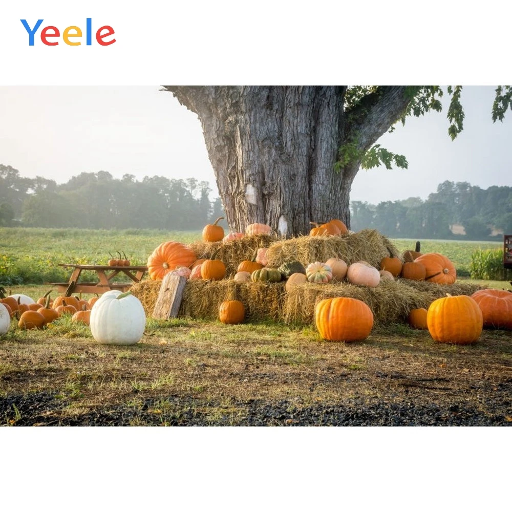 

Yeele Autumn Harvest Pumpkin Tree Hay Photography Background Baby Happy Thanksgiving Day Photocall Backdrop For Photo Studio