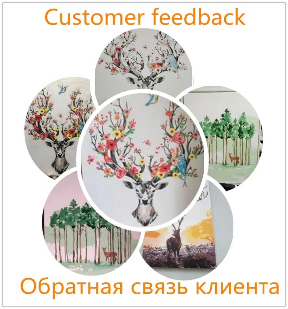 QQ20181216114550_1