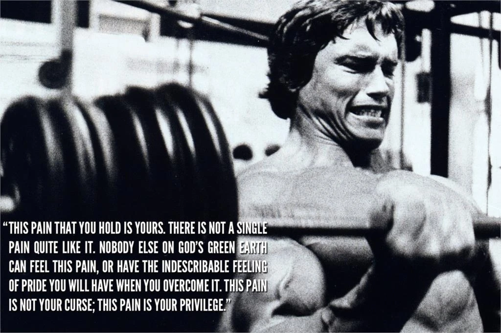 Arnold Schwarzenegger Motivational Poster Diy Frame Pain Arnold Schwarzenegger Motivational Poster Home Decorative  Painting Silk Wall Poster Picture|Arnold Schwarzenegger|Decorative  Paintingmotivational Poster - Aliexpress