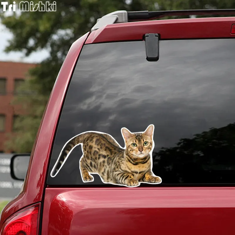 Tri Mishki WCS629 11x21 см Бенгальская кошка Сибирская забавные автомобильные наклейки