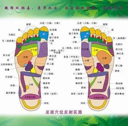 100pcs/lot Detox Foot Pads Patches Free shipping