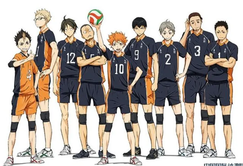 11 видов стилей Haikyuu Cosplay Костюм Karasuno средней школы волейбольный клуб Хината Shyouyou спортивная одежда майки форма