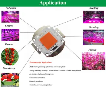 

2pcs New Arrival ,30w led grow lights full spectrum ,380nm~840nm for hydrpobnic/greenhouse/indoor garden plant grow
