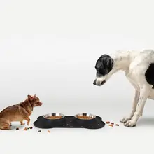 Миски для собак и кошек, двойная тарелка из нержавеющей стали, набор для кормления, силиконовый коврик, подставка, не разливается, питатель для домашних животных, блюдо, полный обеденный набор