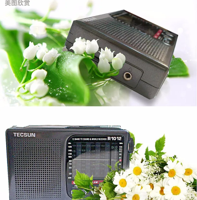 tecsun (4)