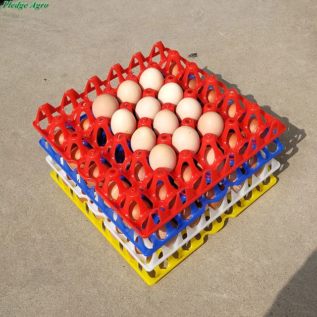 Plastic egg tray 30 chicken eggs