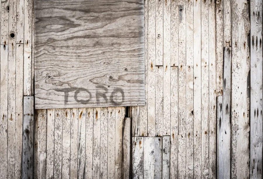 

Laeacco Old Wooden Board Portrait Grunge Photographic Backgrounds Customized Photography Backdrops For Photo Studio