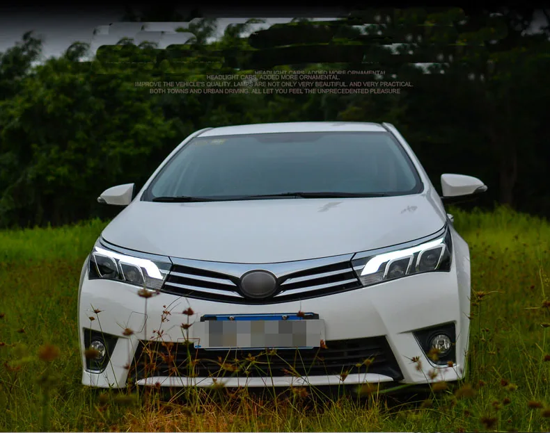 Corolladetail2