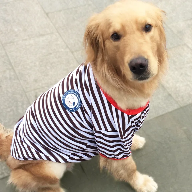 medium size dog clothes medium size dog clothes