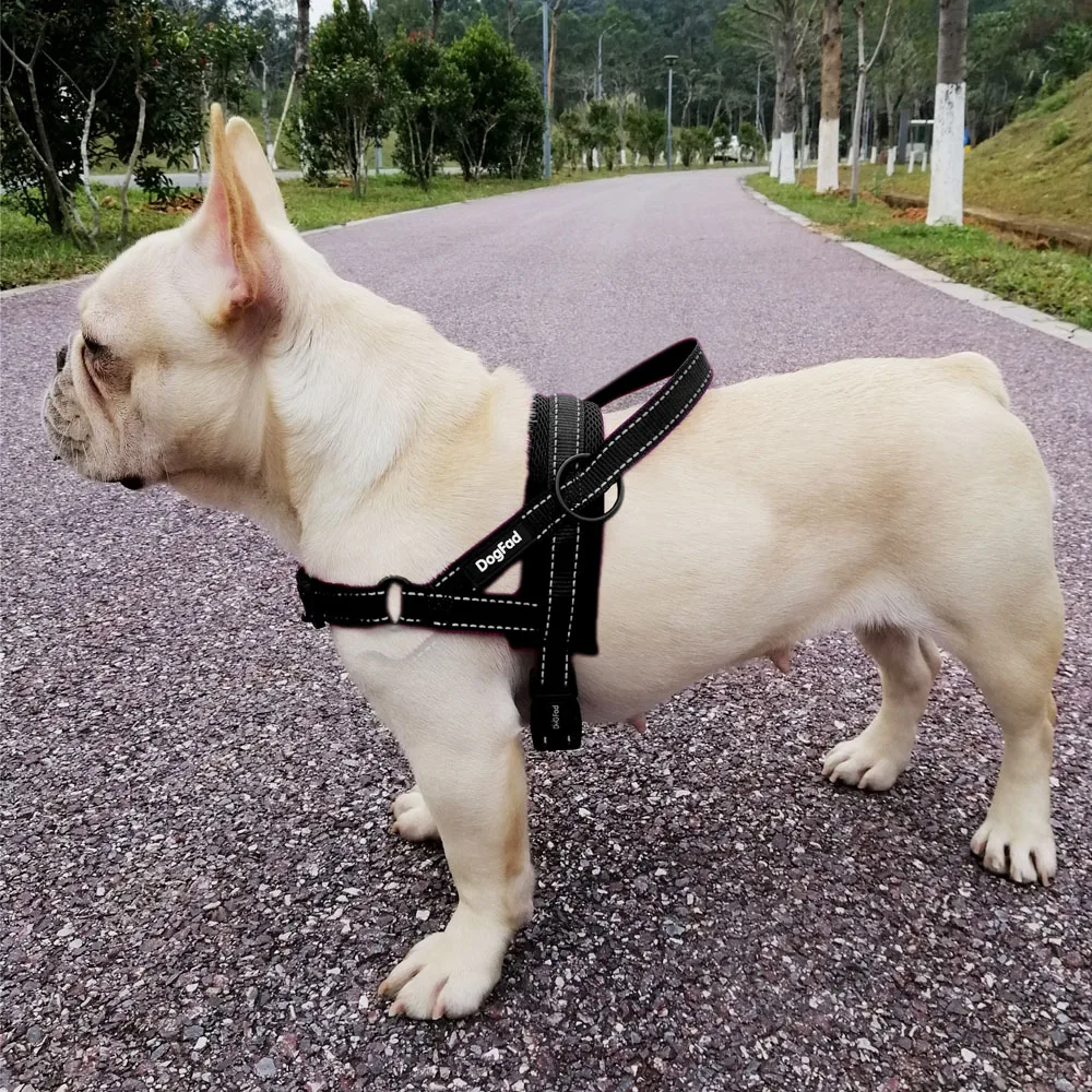 Easy Walking Dog Harness Soft Padded Reflective Adjustable Pet Harness No Pull Dog Harness With Handle And Two Leash Attachments Harnesses Aliexpress