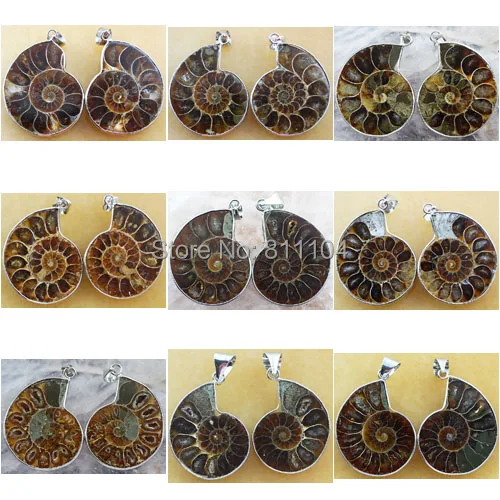 

10 Pairs/Lot Mixed Natural Ammonite shell stone Pendant Bead wholesale
